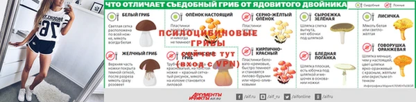 первитин Алексеевка