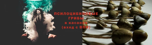 герыч Алзамай