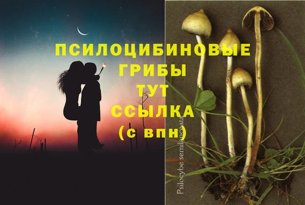 трава Алексин