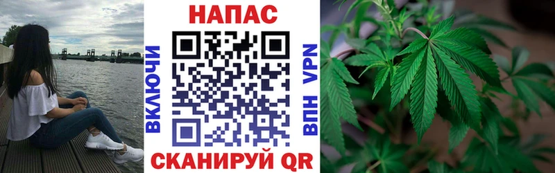Купить закладки  Полтавская  Шишки марихуана семена 